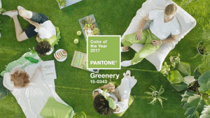 pantone photo